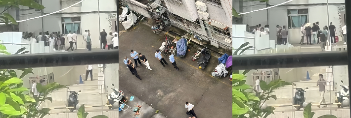 下载 8