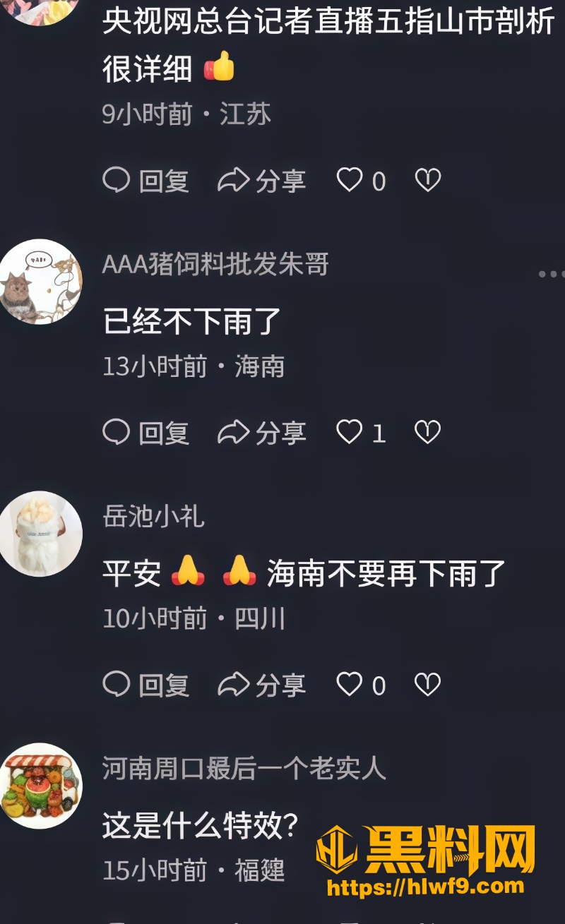 五指山暴雨房屋被冲走6