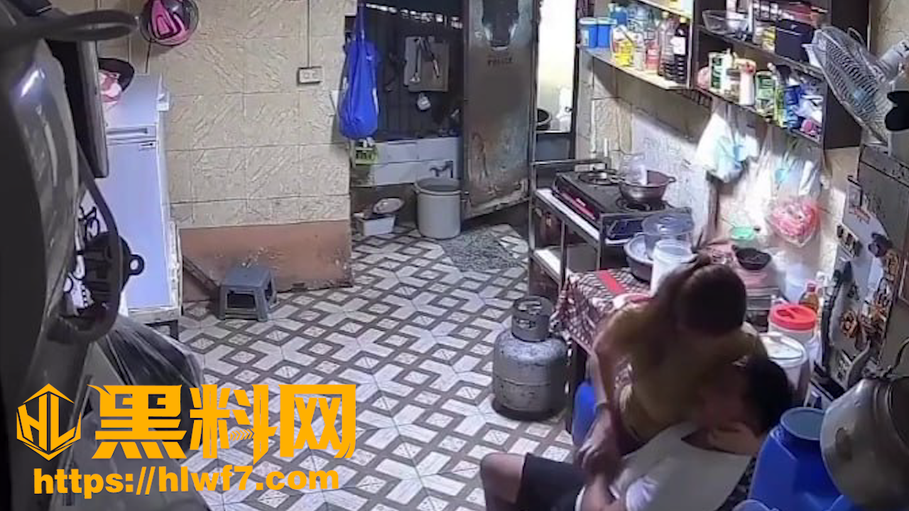 陕西厨房家暴监控5