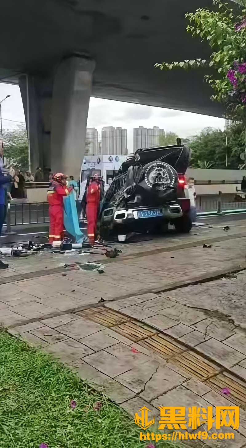 成都金丰高架车祸事件