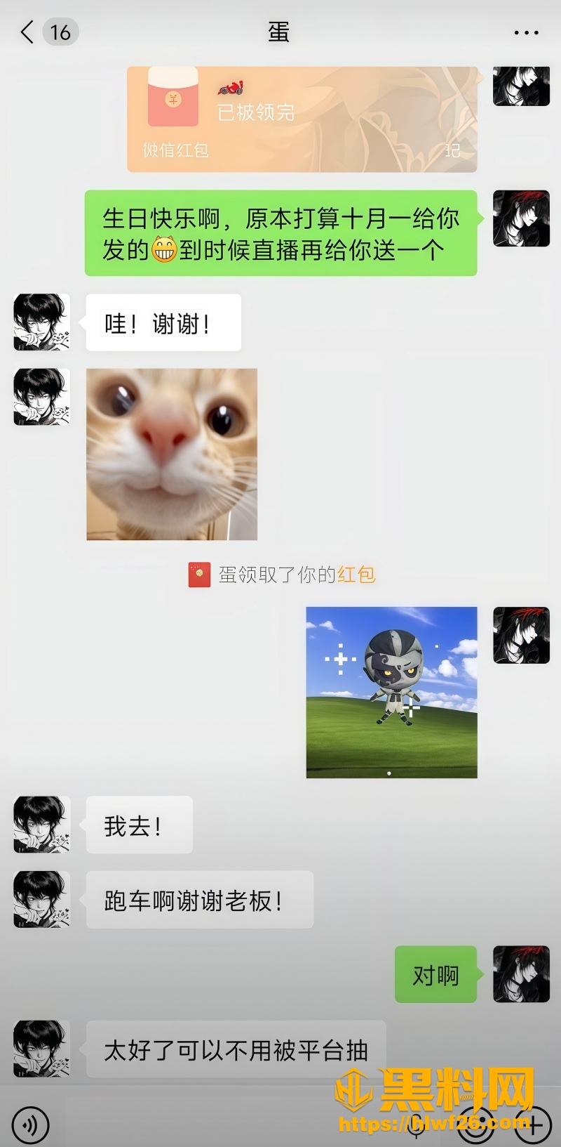 网红DL无缝衔接被曝光 1