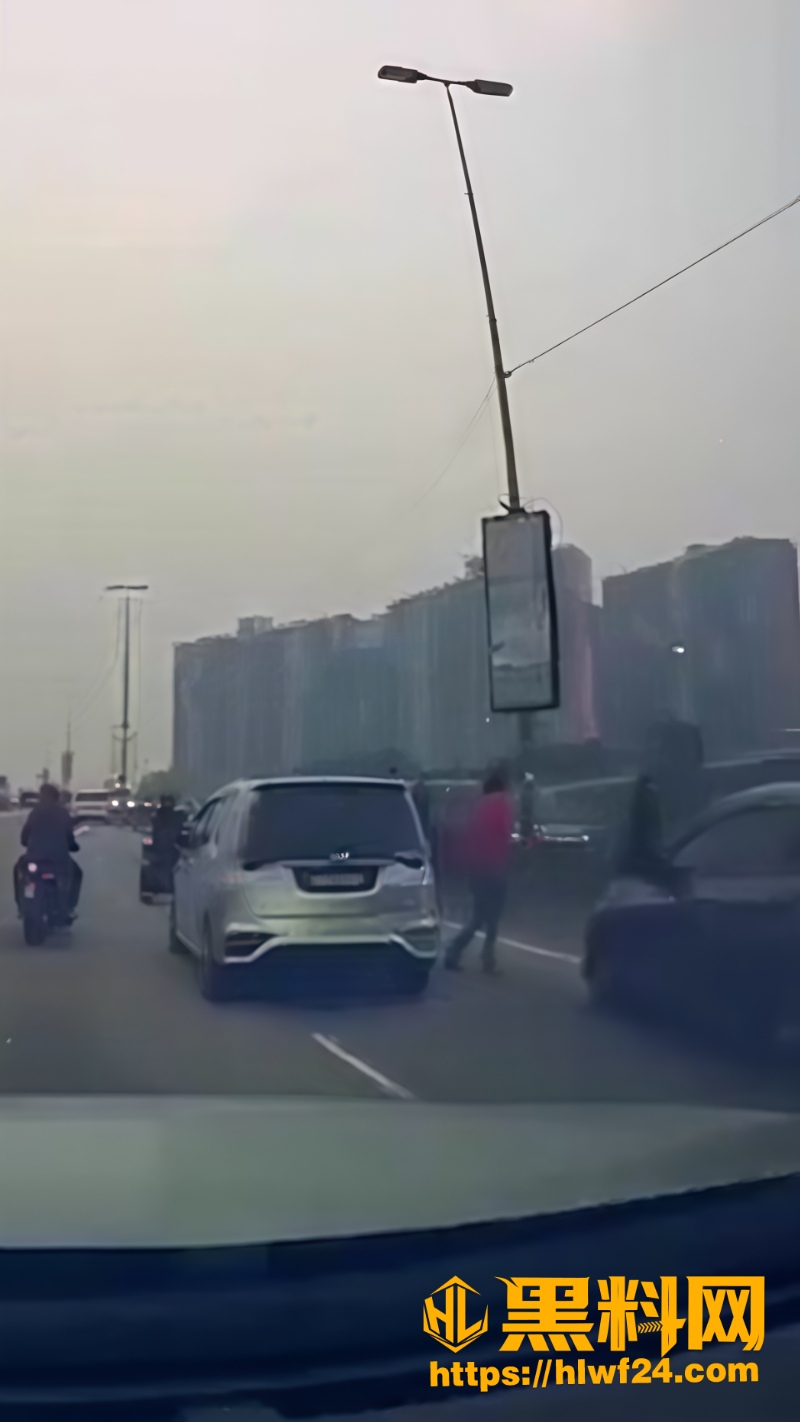 罪犯落网5