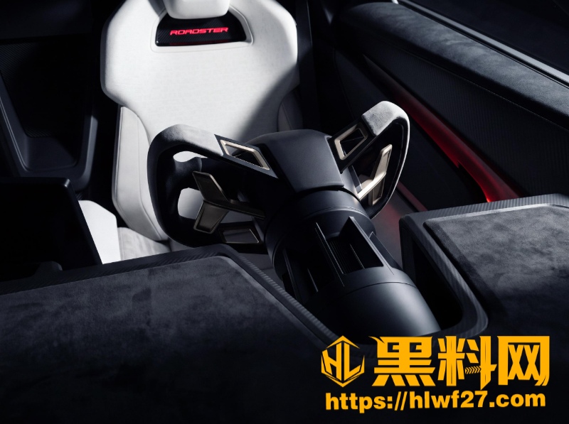 特斯拉Roadster空中翻转 4