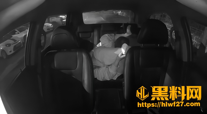 出租车司机操醉酒女乘客 3
