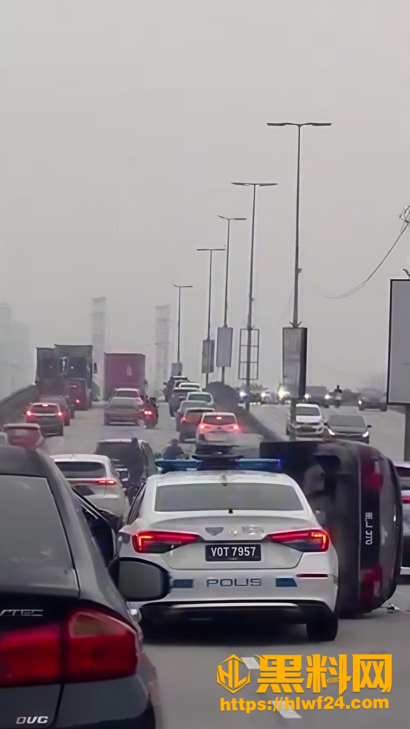撞车逃跑6