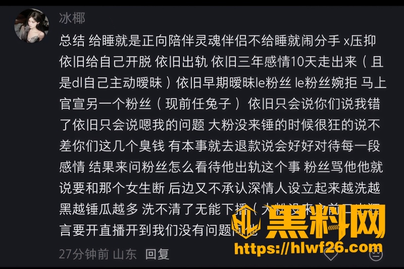 网红DL性爱视频流出 5