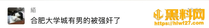 合肥大学城附近性侵事件1