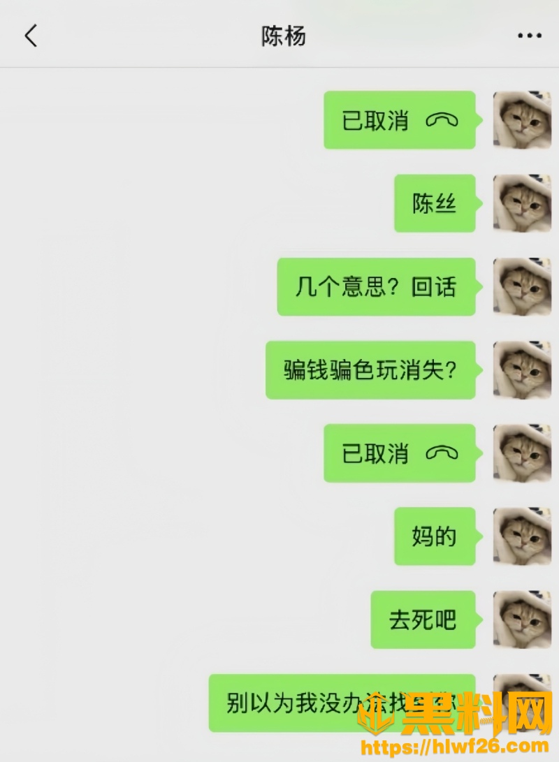 男网红陈杨非法集资黑料9W800px