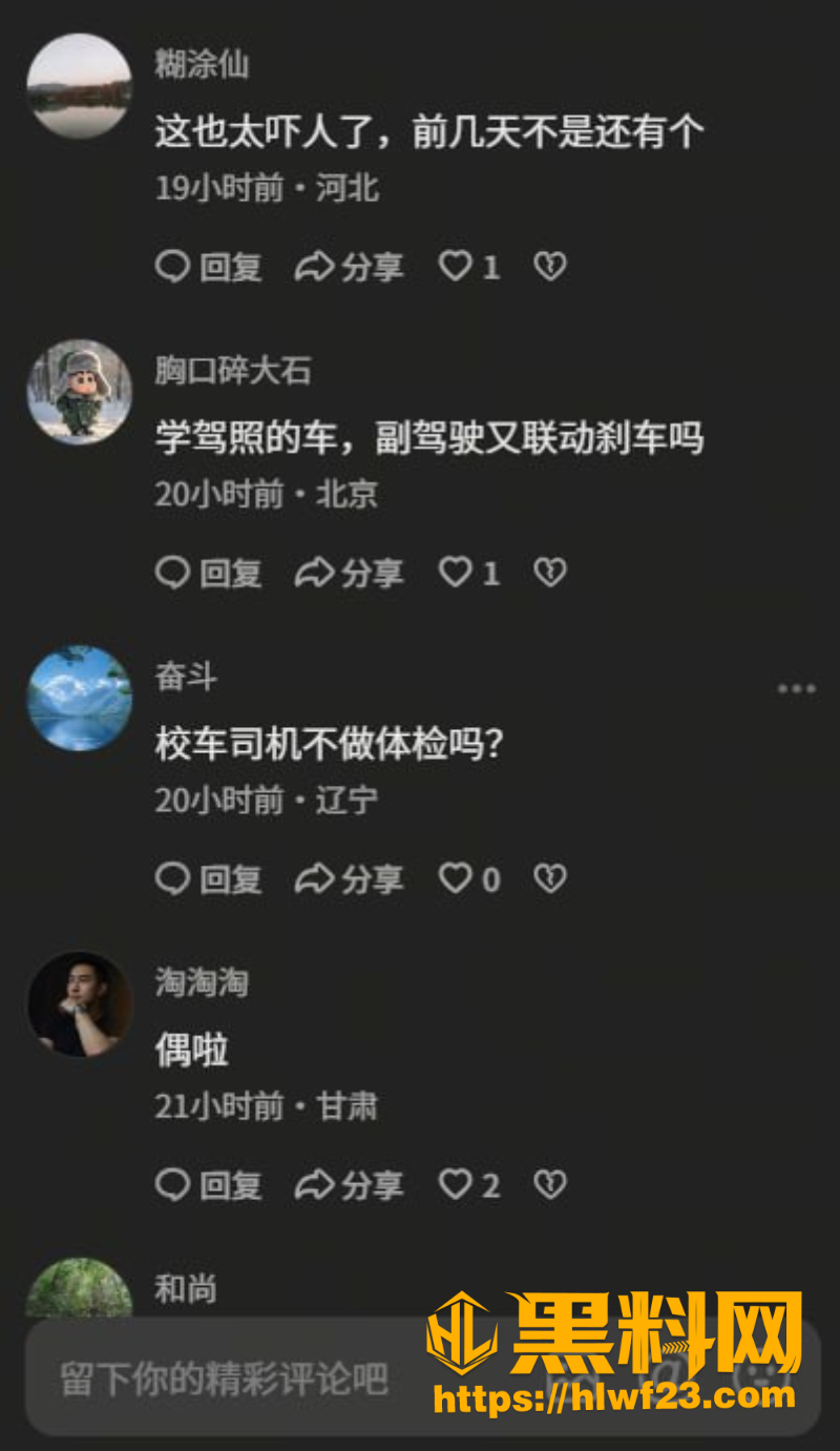 河北保定驾校教练车失控事件8