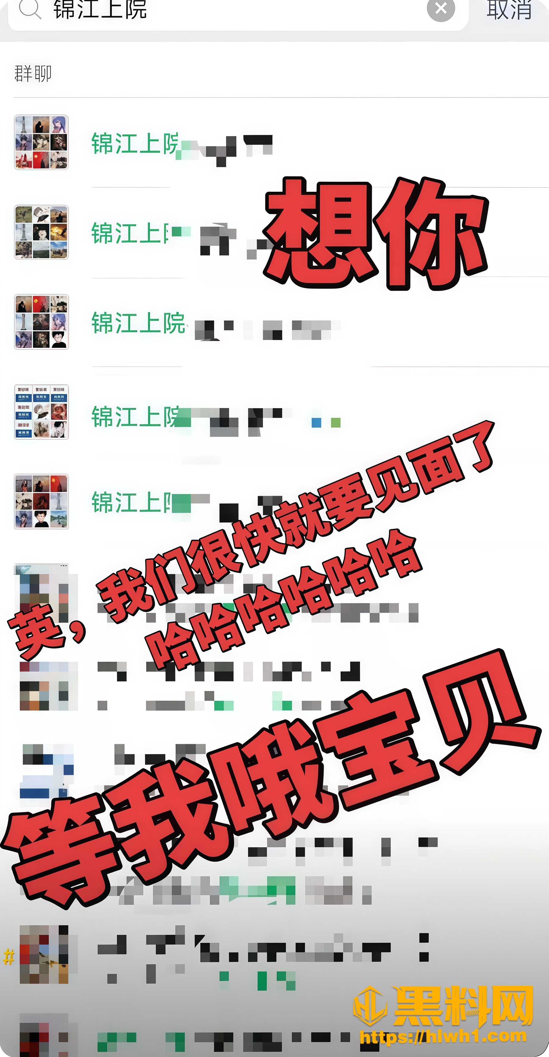 成都刘海英李童鑫偷情 5