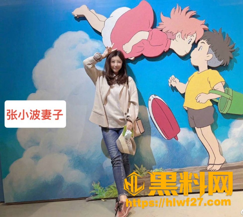 凤凰联动 3
