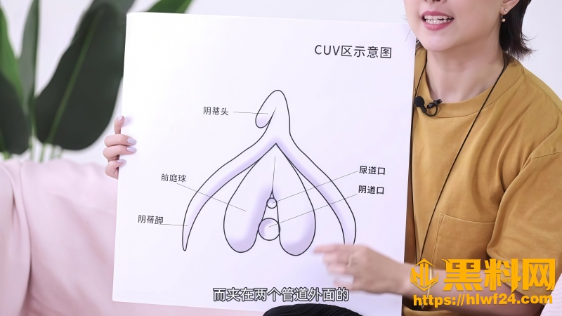 吴小飘教学视频 2