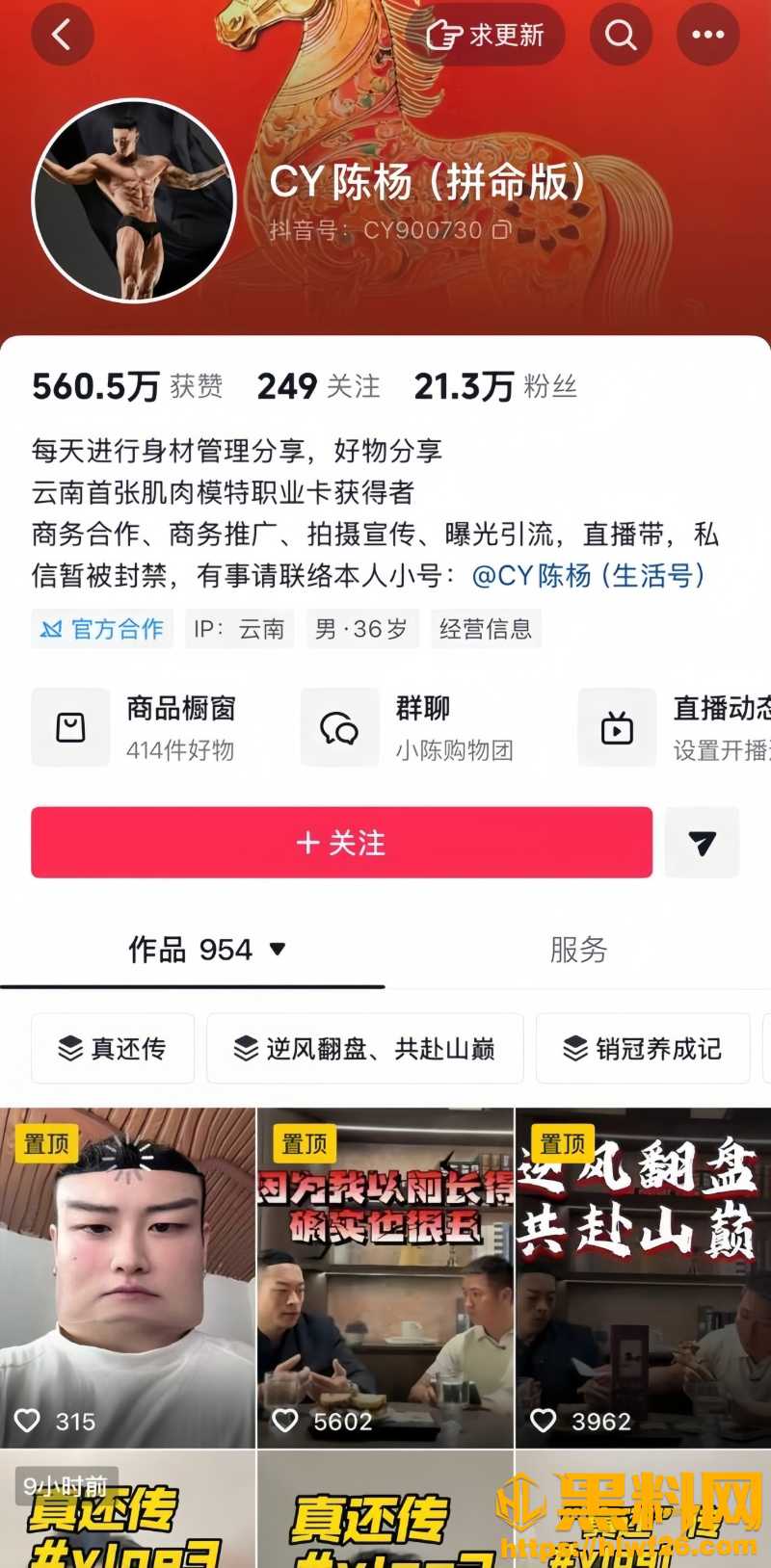 男网红陈杨非法集资黑料1W800px