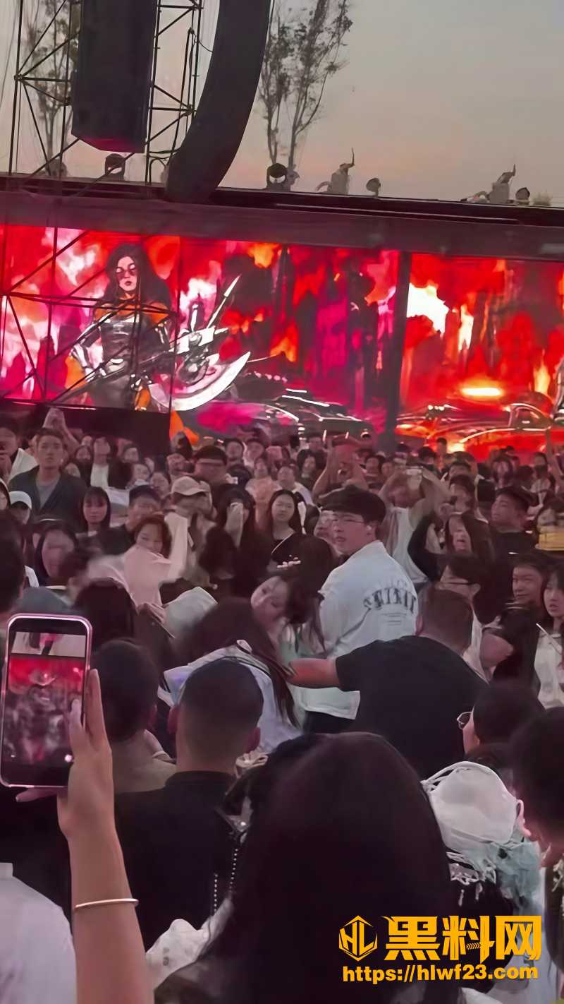河南开封万岁山景区打架事件1