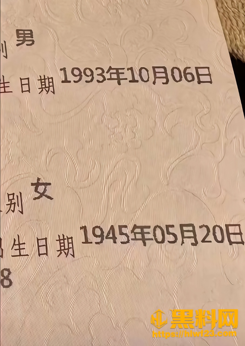 黑龙江93年小伙娶奶奶 6