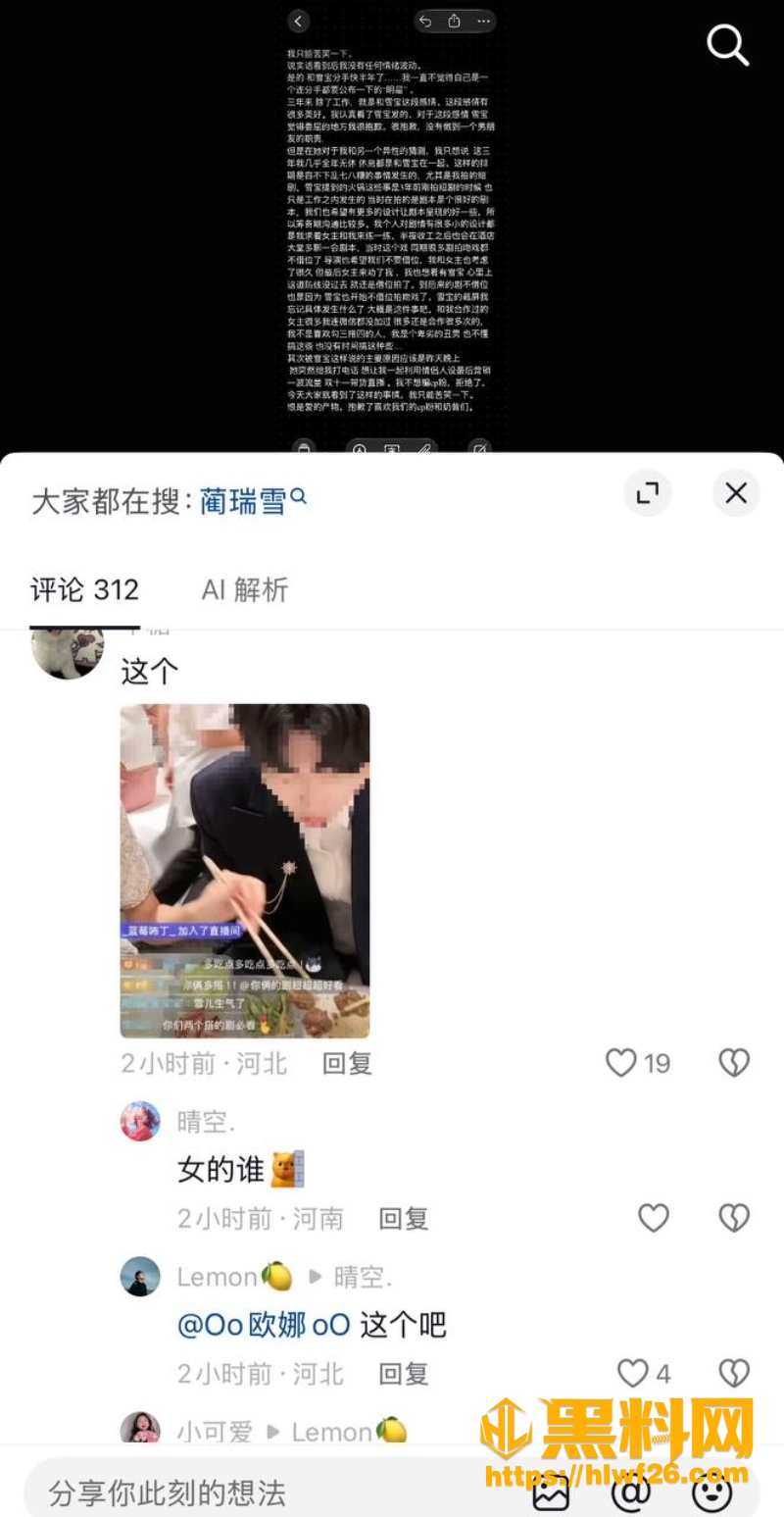 蔺瑞雪 3