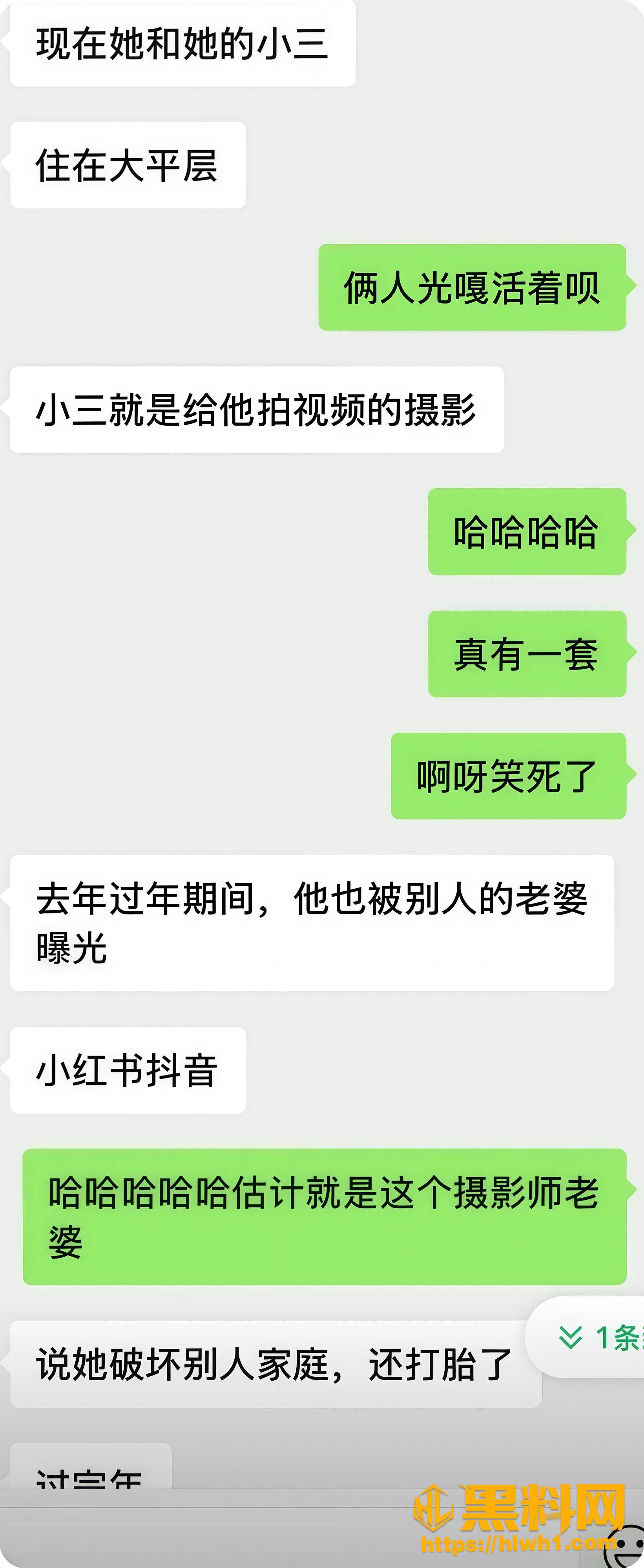 成都刘海英李童鑫偷情 3
