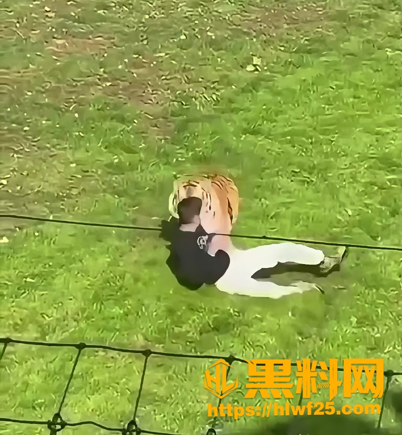 东北虎袭击男子致死细节1