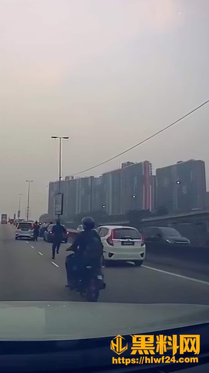 马来西亚警察开枪追捕视频2