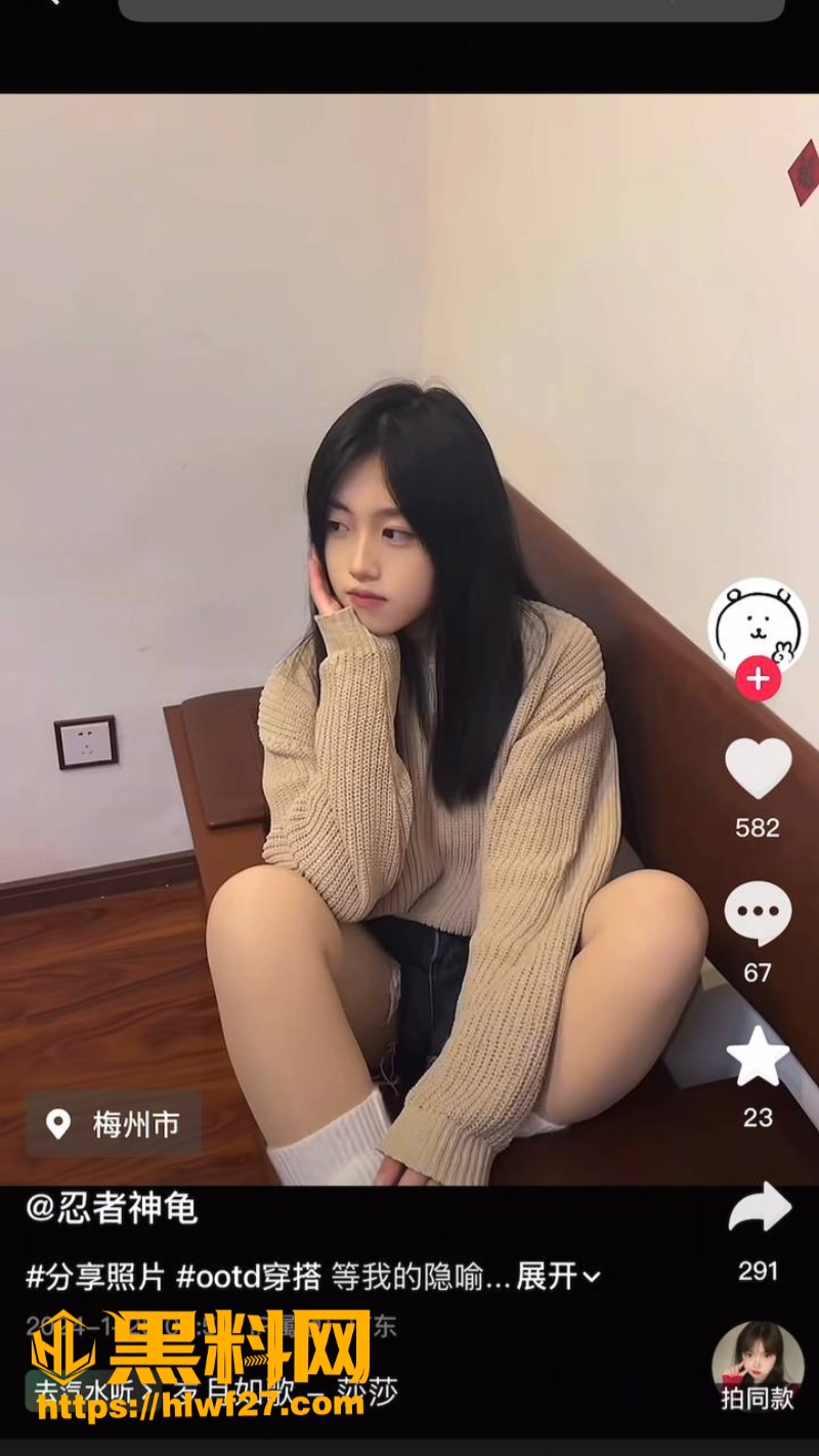 忍者神龟福利资源